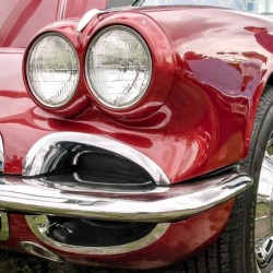 109    Classic Vet