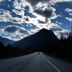 113   Open Road