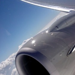 119   In Plane View