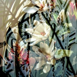 150    Flower Time