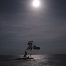 199    Solitude