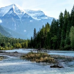 207    Canadian Wilderness