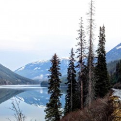 214    Lake Sentinels