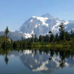 215    Mount Baker
