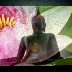 241    Oneness