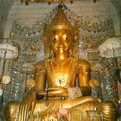 245    Gilded Buddha