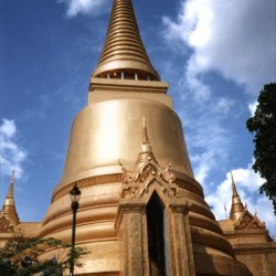 249    Chedi