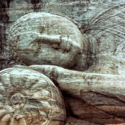 253    Reclining Buddha