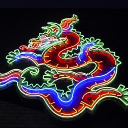 257    Neon Dragon