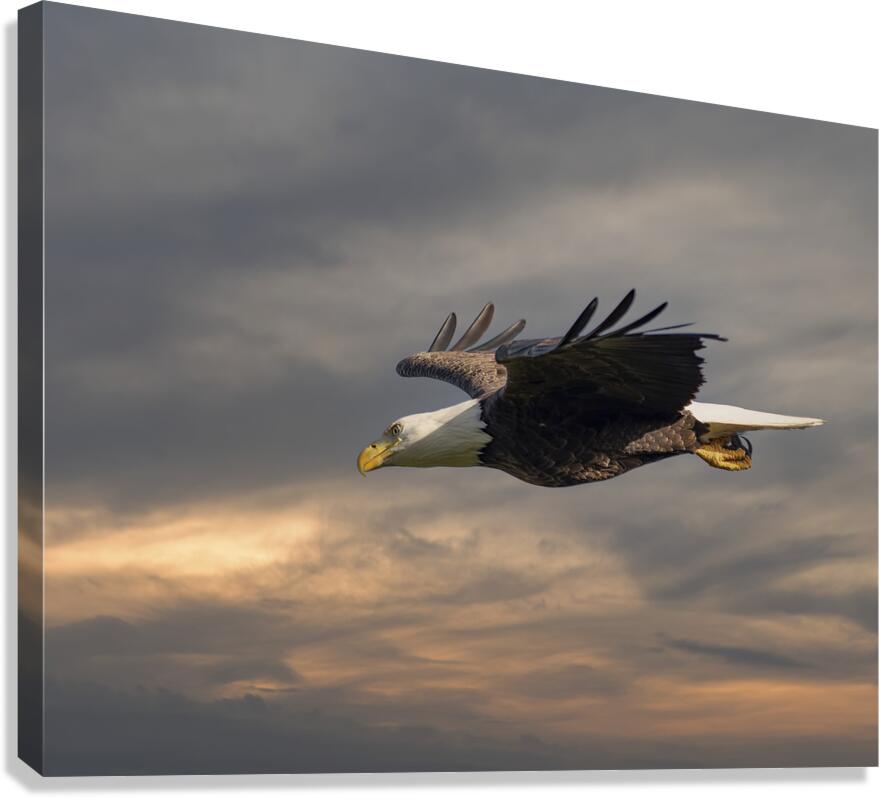 Side by side Canvas Print