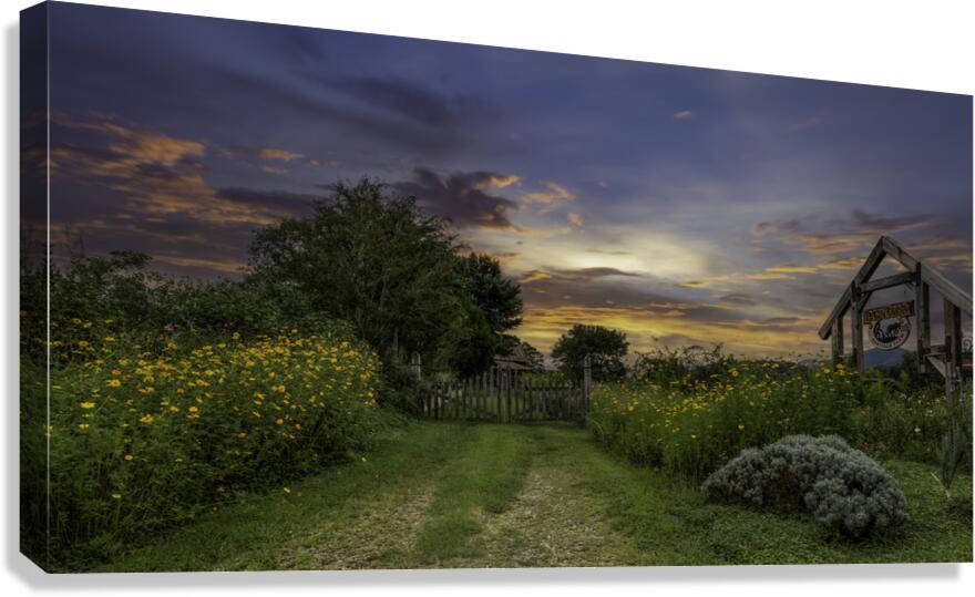 Logan Berry Canvas Print