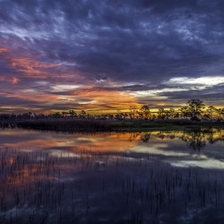 Gator Lake Florida Everglades