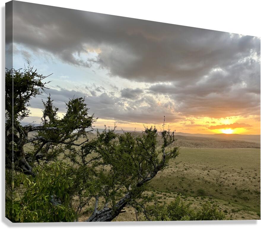 IMG 7229 Canvas Print