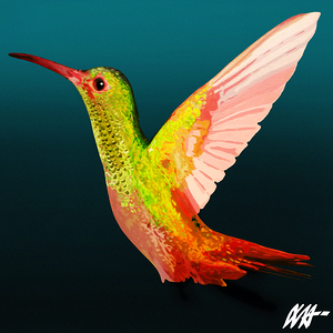 HUMMINGBIRD
