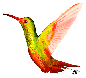 HUMMINGBIRD
