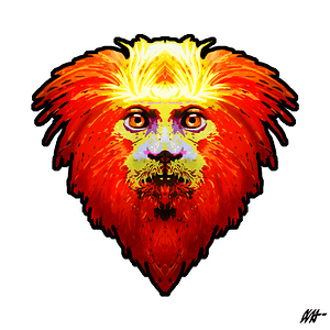 Golden Lion Tamarin