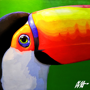 TOUCAN