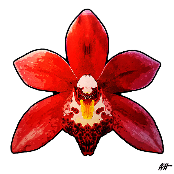 CYMBIDIUM ORCHID Print