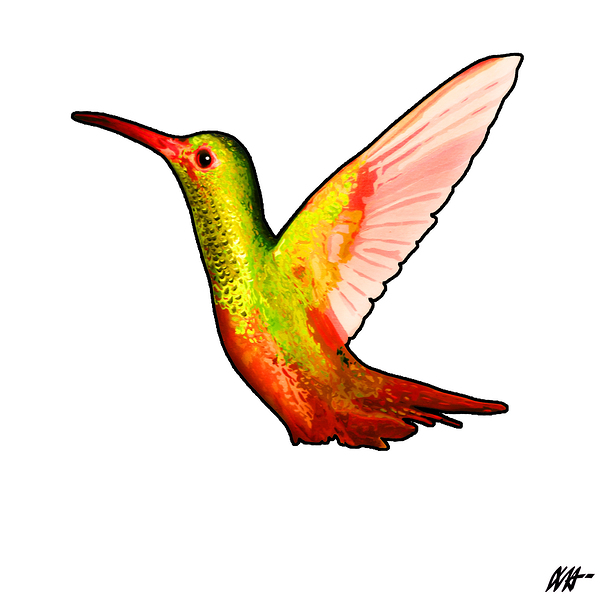 HUMMINGBIRD Print
