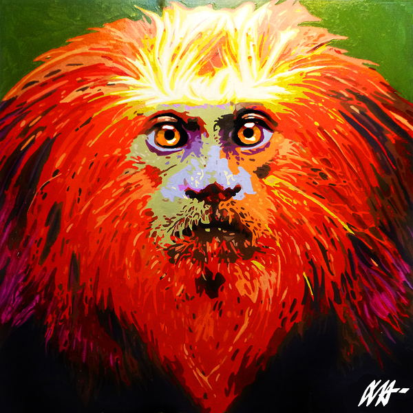 GOLDEN LION TAMARIN Print