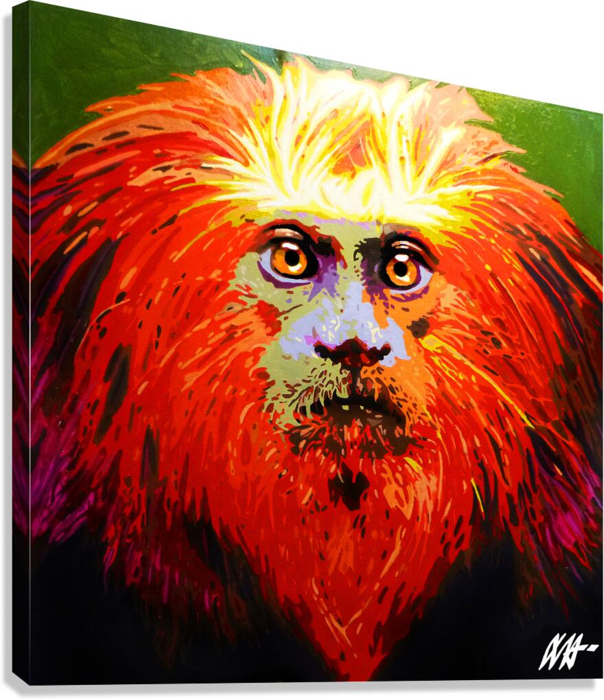 GOLDEN LION TAMARIN Canvas Print