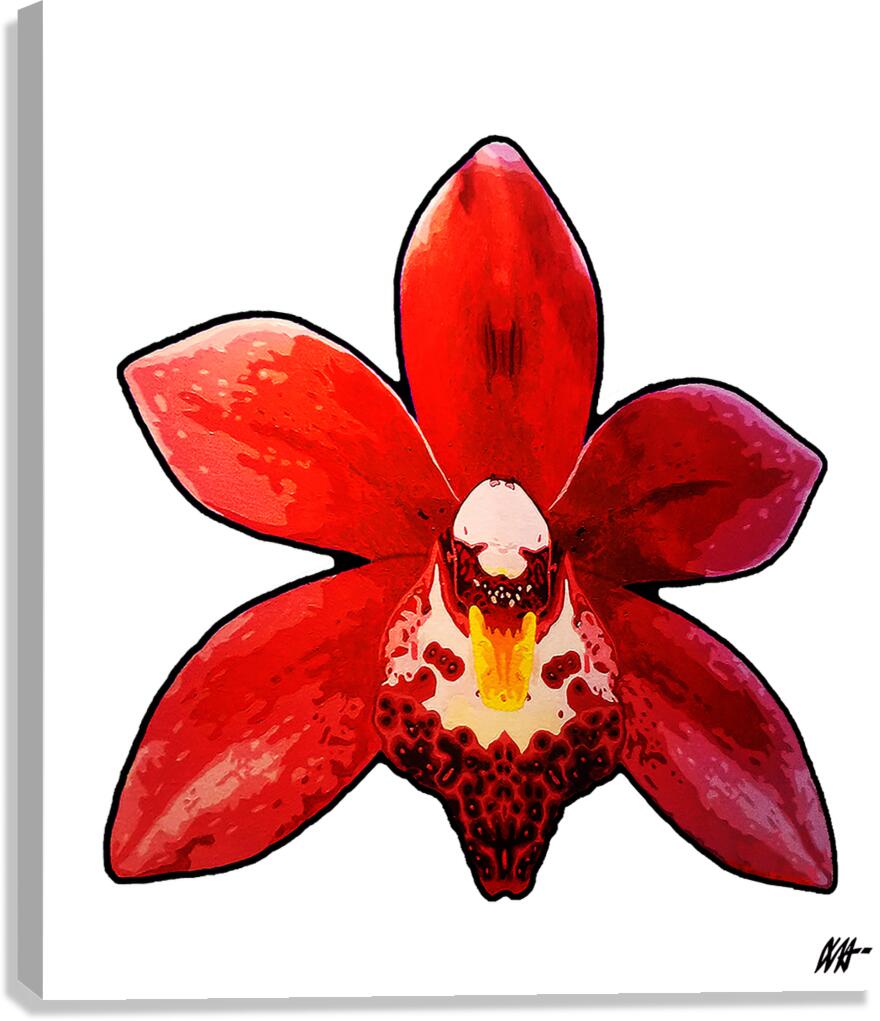 CYMBIDIUM ORCHID Canvas Print
