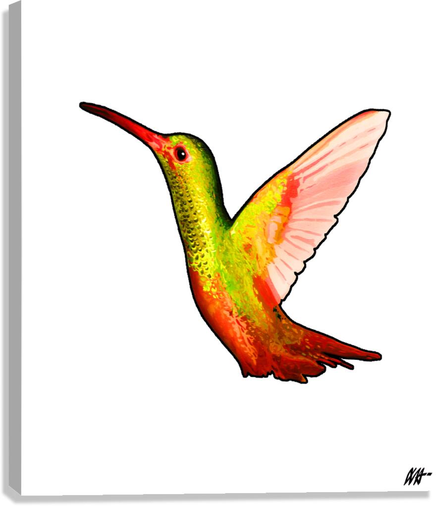 HUMMINGBIRD Canvas Print