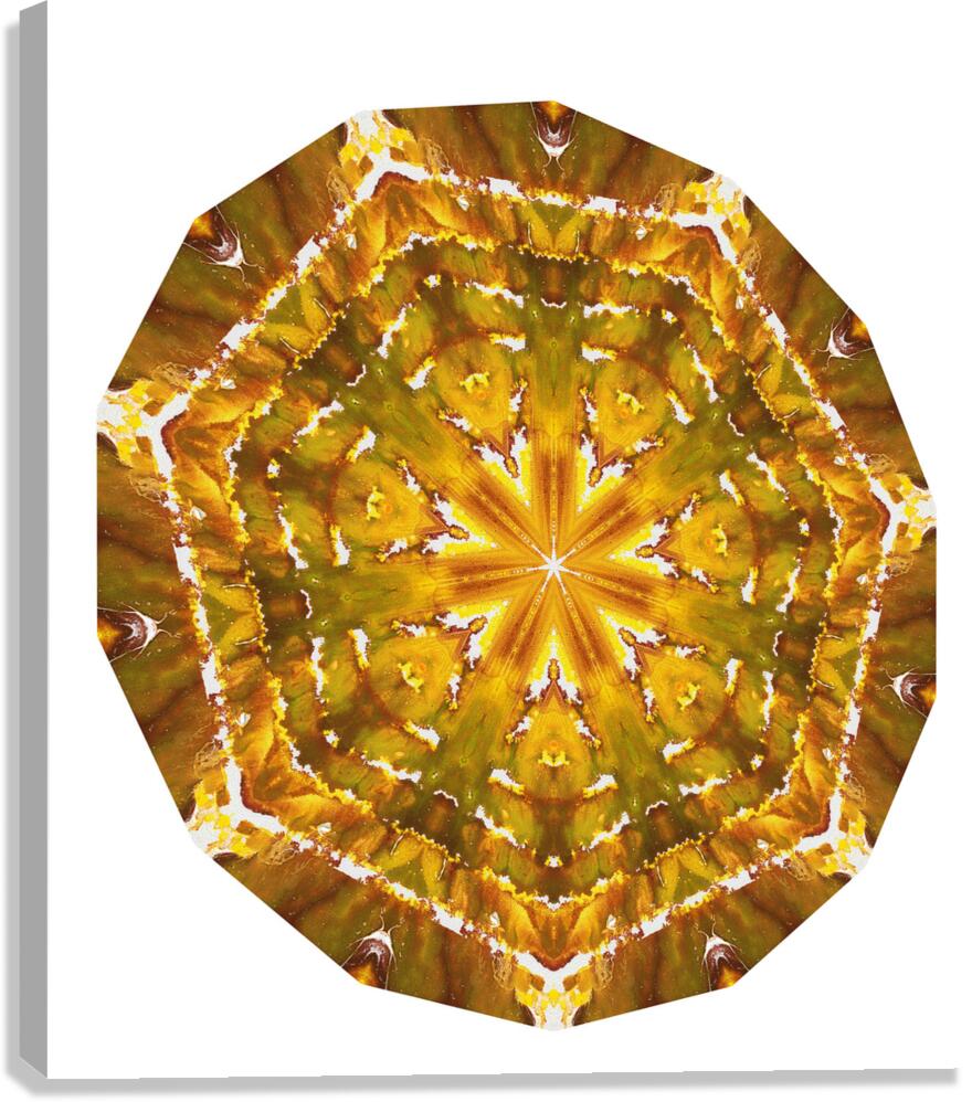 Kaleido55 Canvas Print