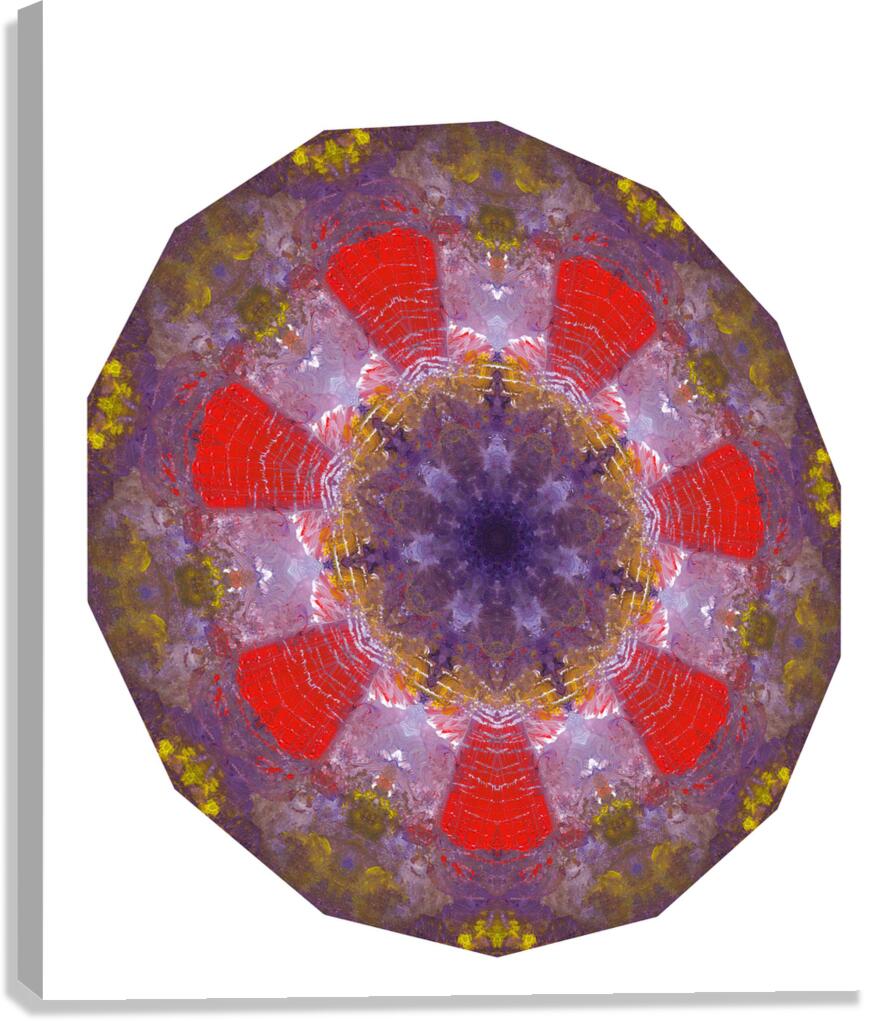 Kaleido38 Canvas Print