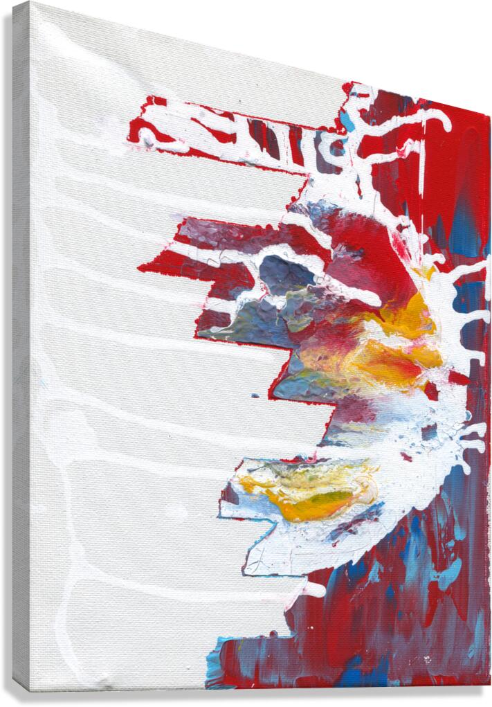 Day 065 Canvas Print
