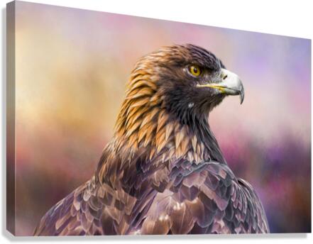 Golden eagle Canvas Print