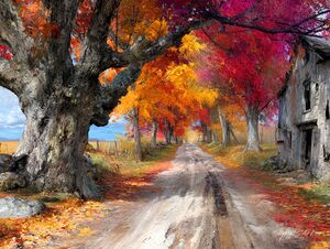 Back Trails -Trails End