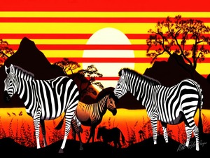 Afrian Zebras