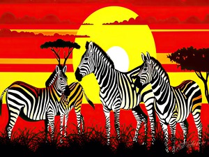 African Zebra Habitat
