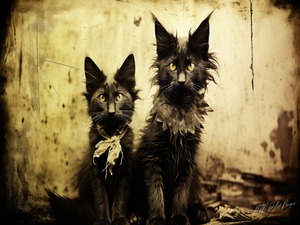 Cool Cats Vintage