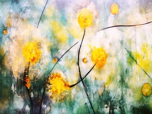Dandelion Dust