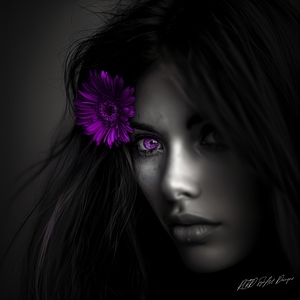 Gerbera Gaze