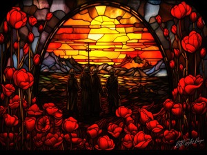Poppies At Sunset 
