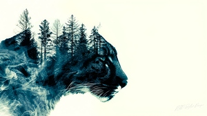 Wild Cat Blues