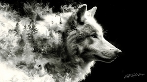Arctic Wolf 