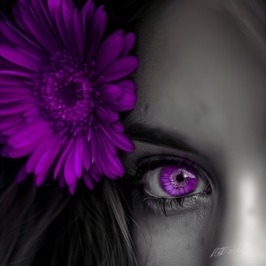 Gerbera Girl