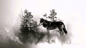 Wolf Habitat 