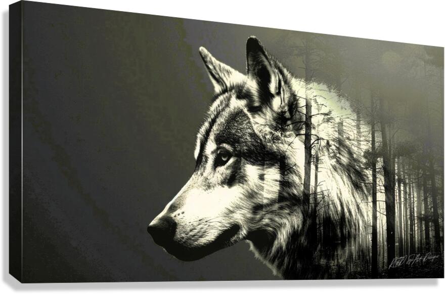 Wolf Silhouette  Canvas Print
