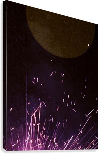 Under The  Moonlight Canvas Print