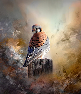 Autumn Splendor by Maureen Ravnik 