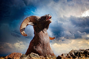 Send Me A Good Looking Ewe by Maureen Ravnik