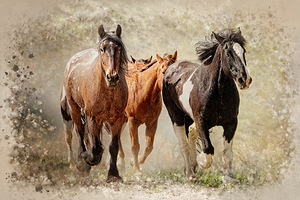 Running Free by Maureen Ravnik 