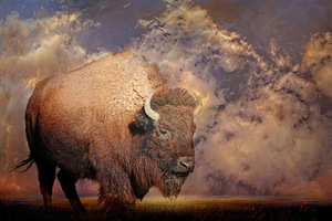 Prairie Winds by Maureen Ravnik 