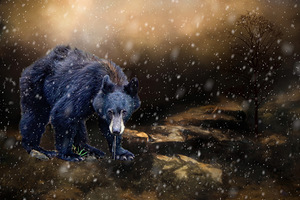 Bearly Winter But Its Coming by Maureen Ravnik