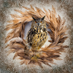 Eurasian Eagle Owl by Maureen Ravnik